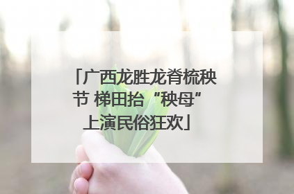 广西龙胜龙脊梳秧节 梯田抬“秧母”上演民俗狂欢